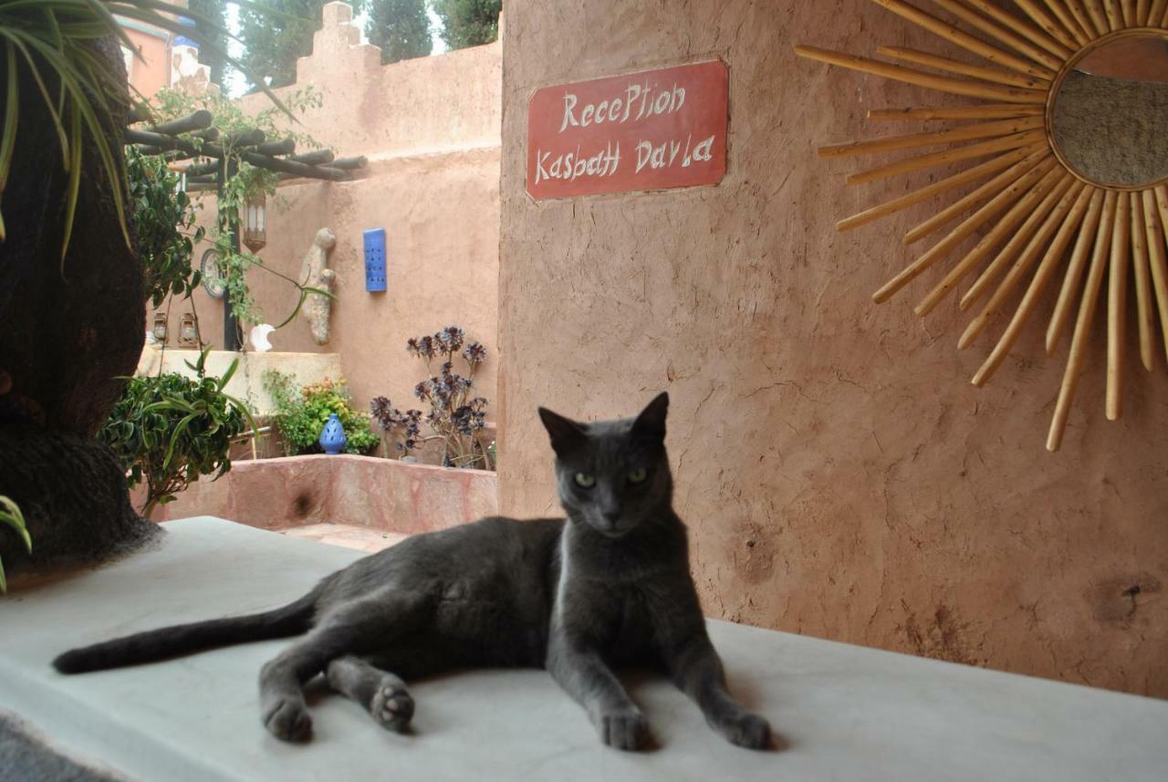 Auberge Kasbah Darla تهنوت المظهر الخارجي الصورة