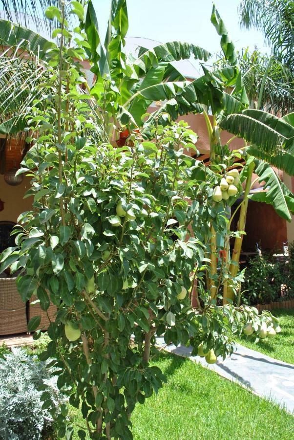 Auberge Kasbah Darla تهنوت المظهر الخارجي الصورة